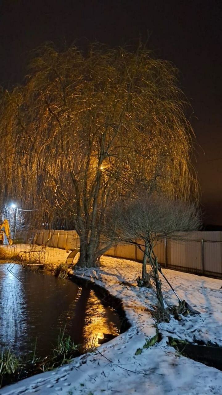 Фото Лесное Озеро