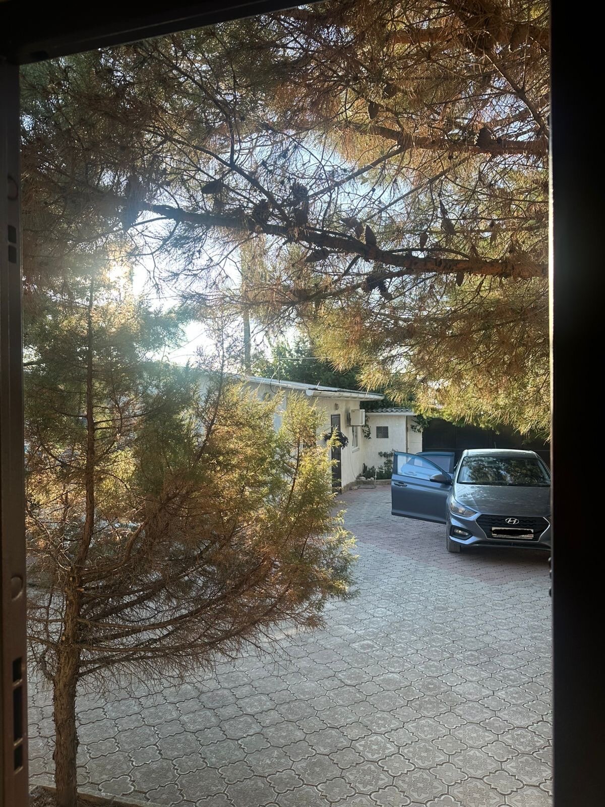 Фото Оливия