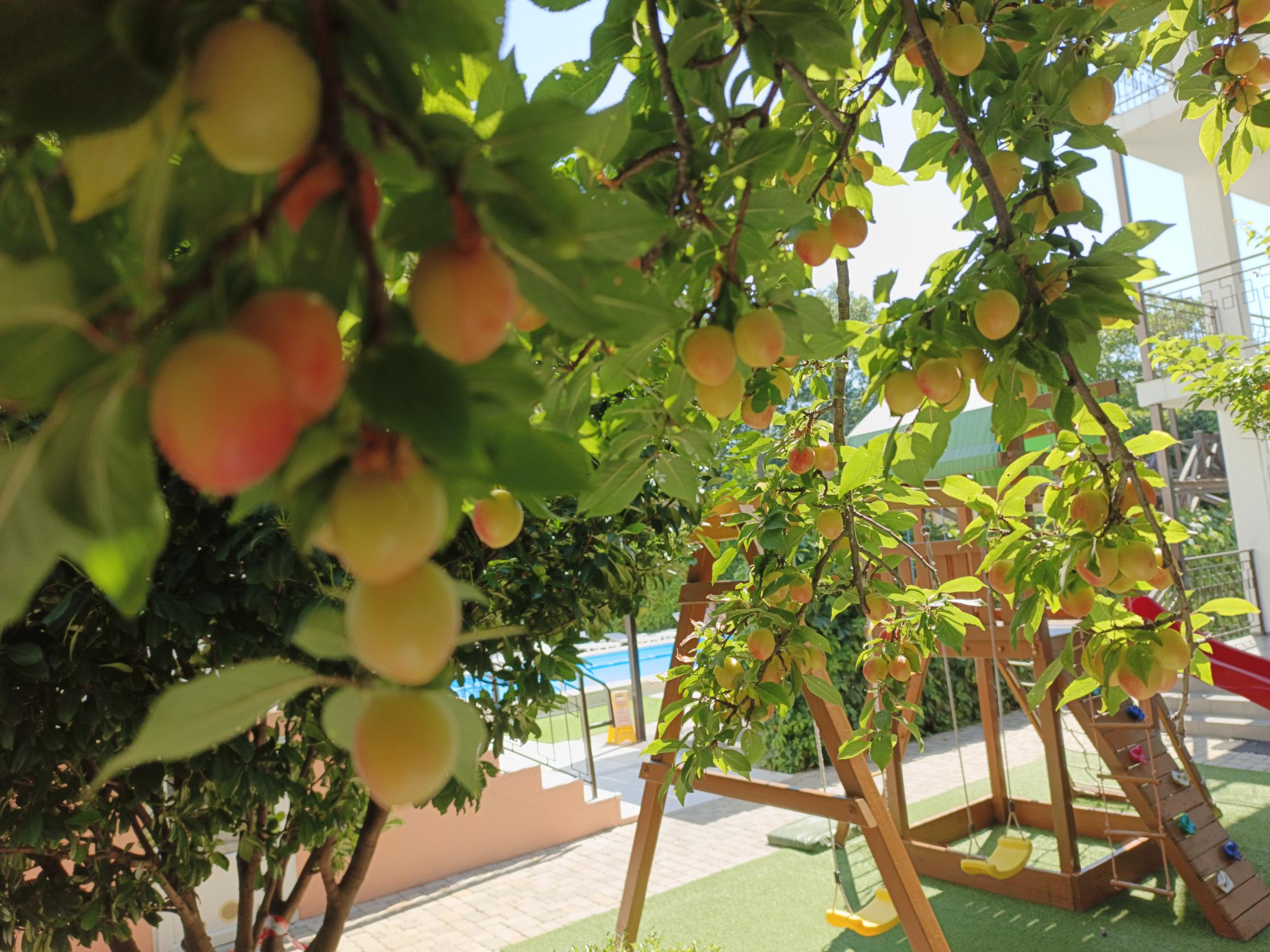 Фото Глориос