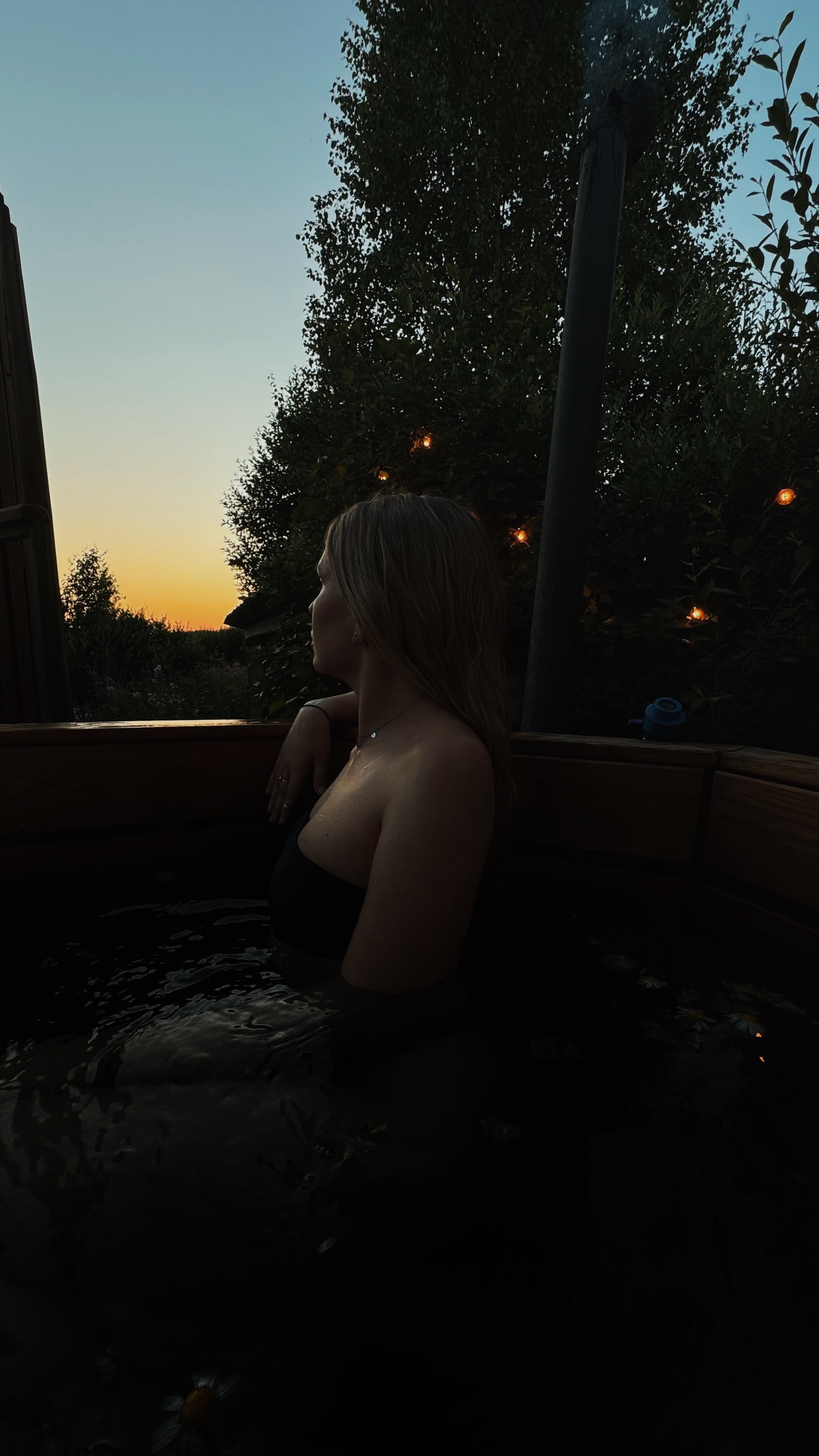 Фото Ракита