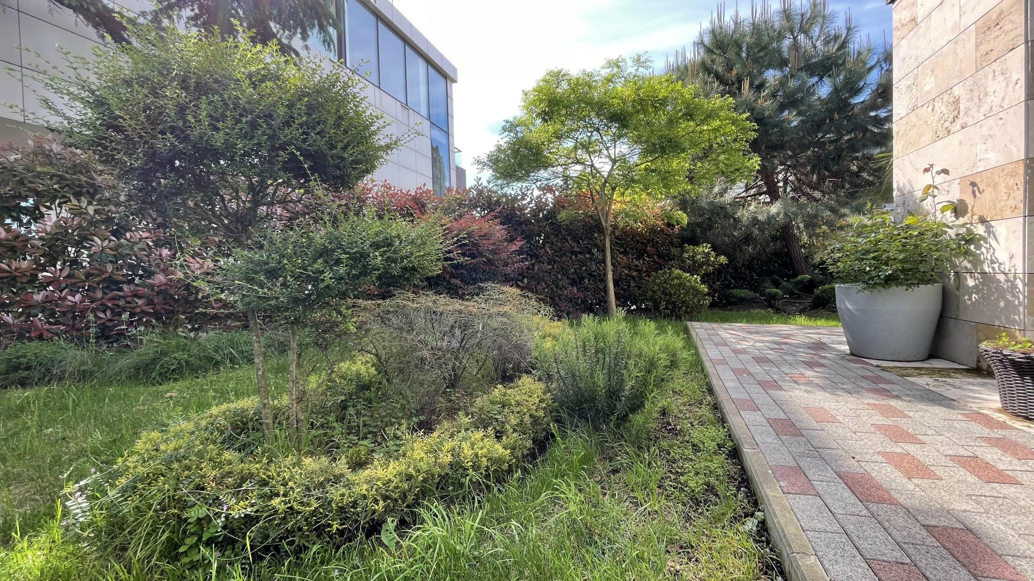 Фото Pulsar Villa Deluxe