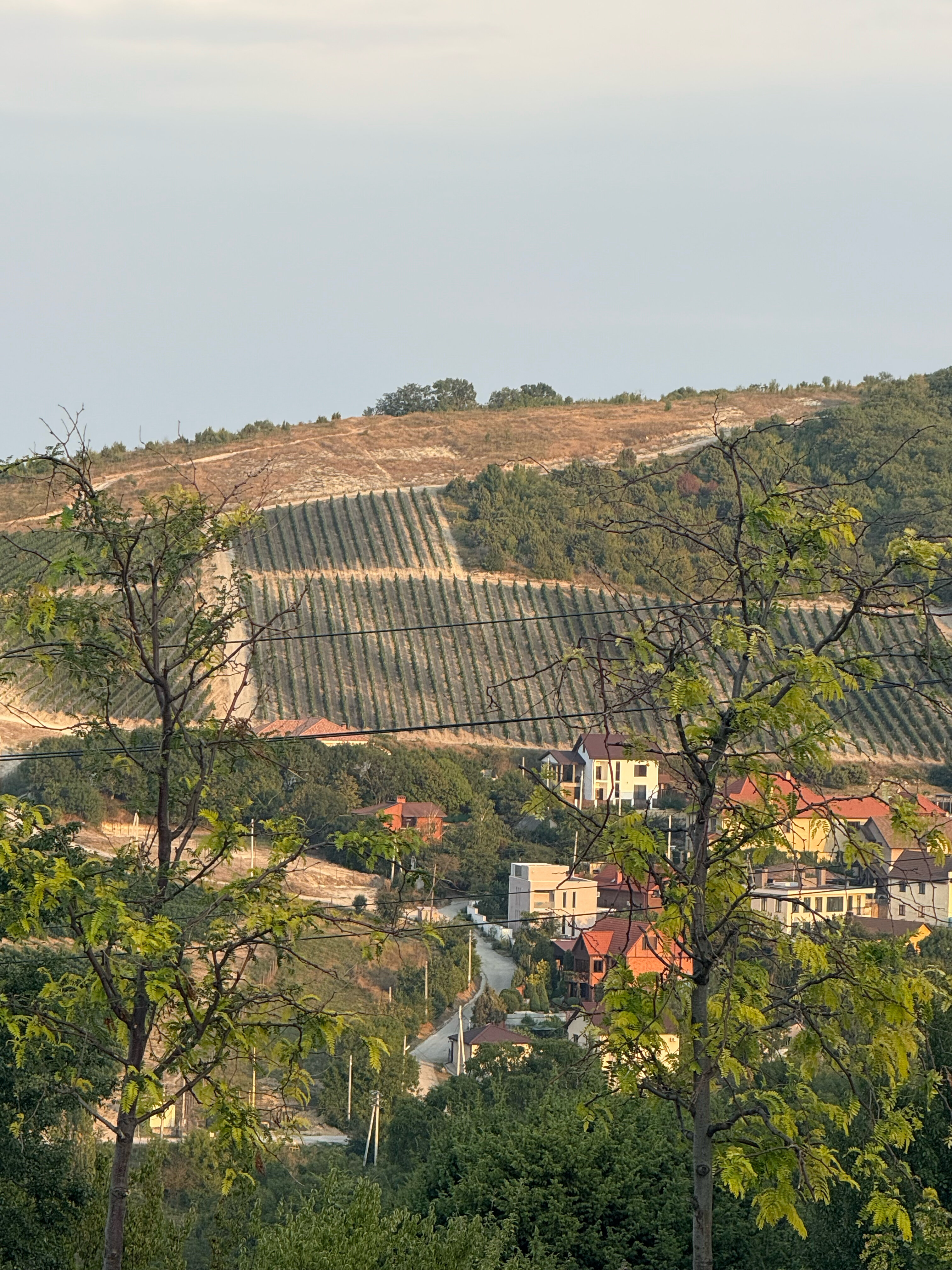 Фото ТеремШато