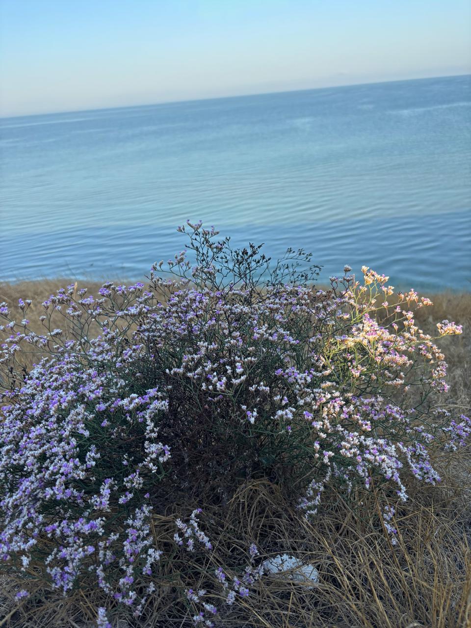 Фото Два якоря