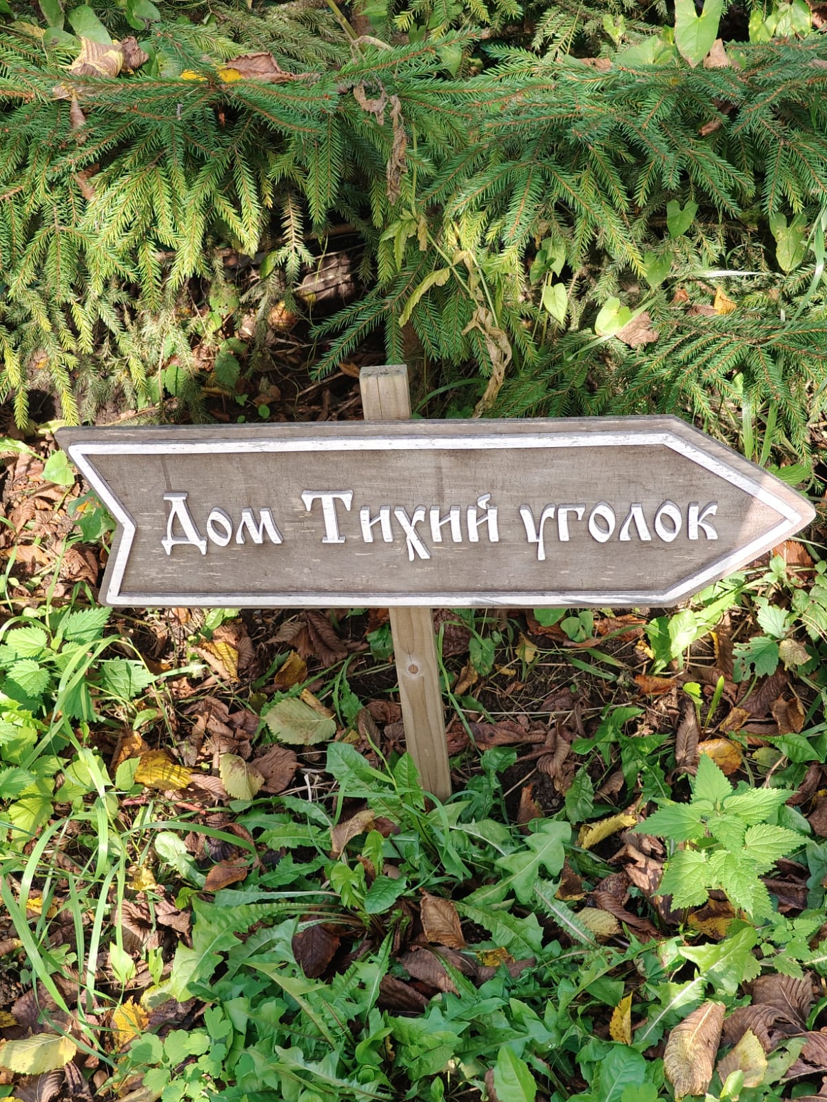 Фото Два Озера