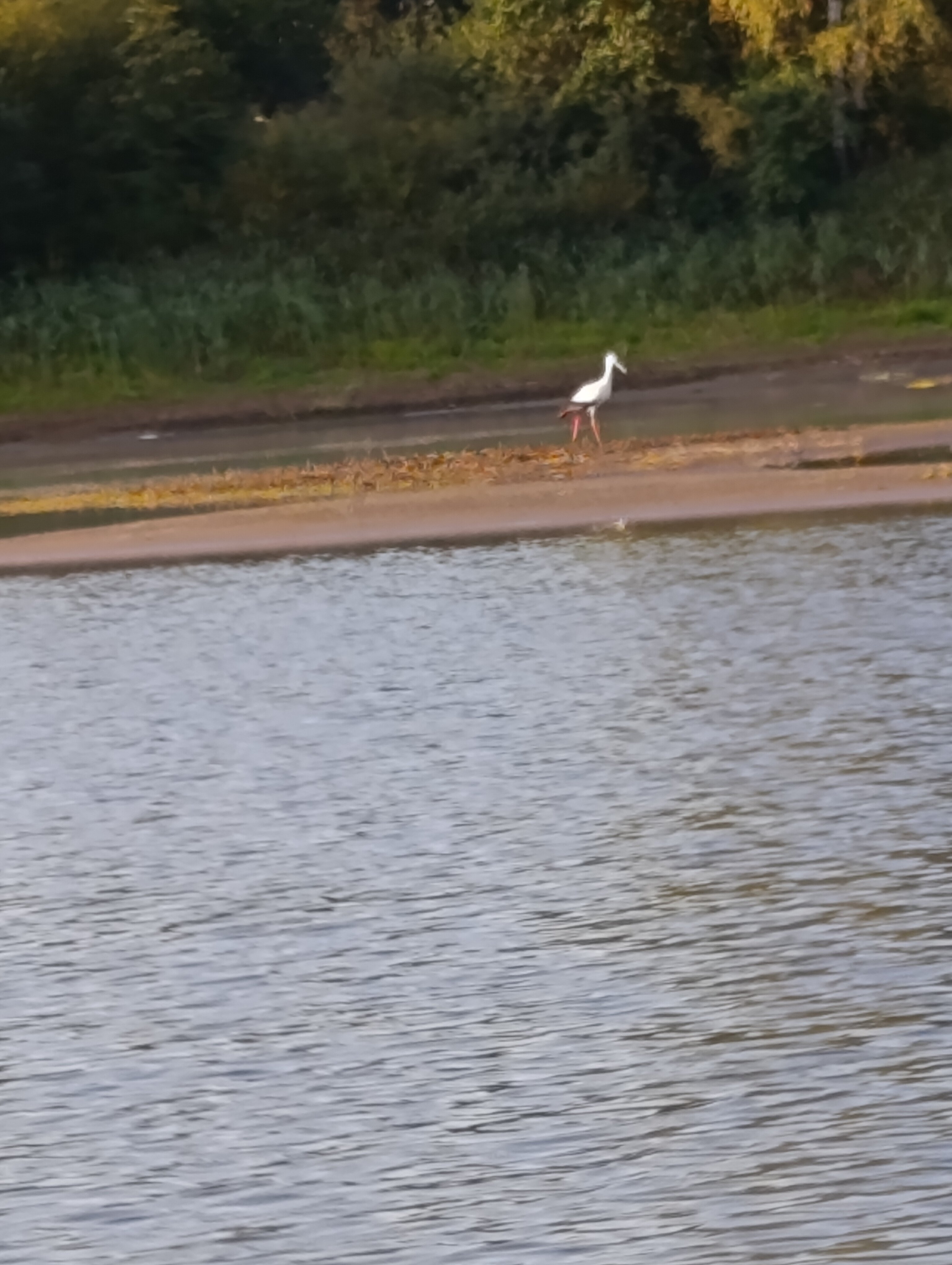 Фото На Вазузу