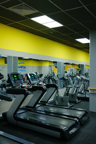 Грузин араб қыздарының порносы