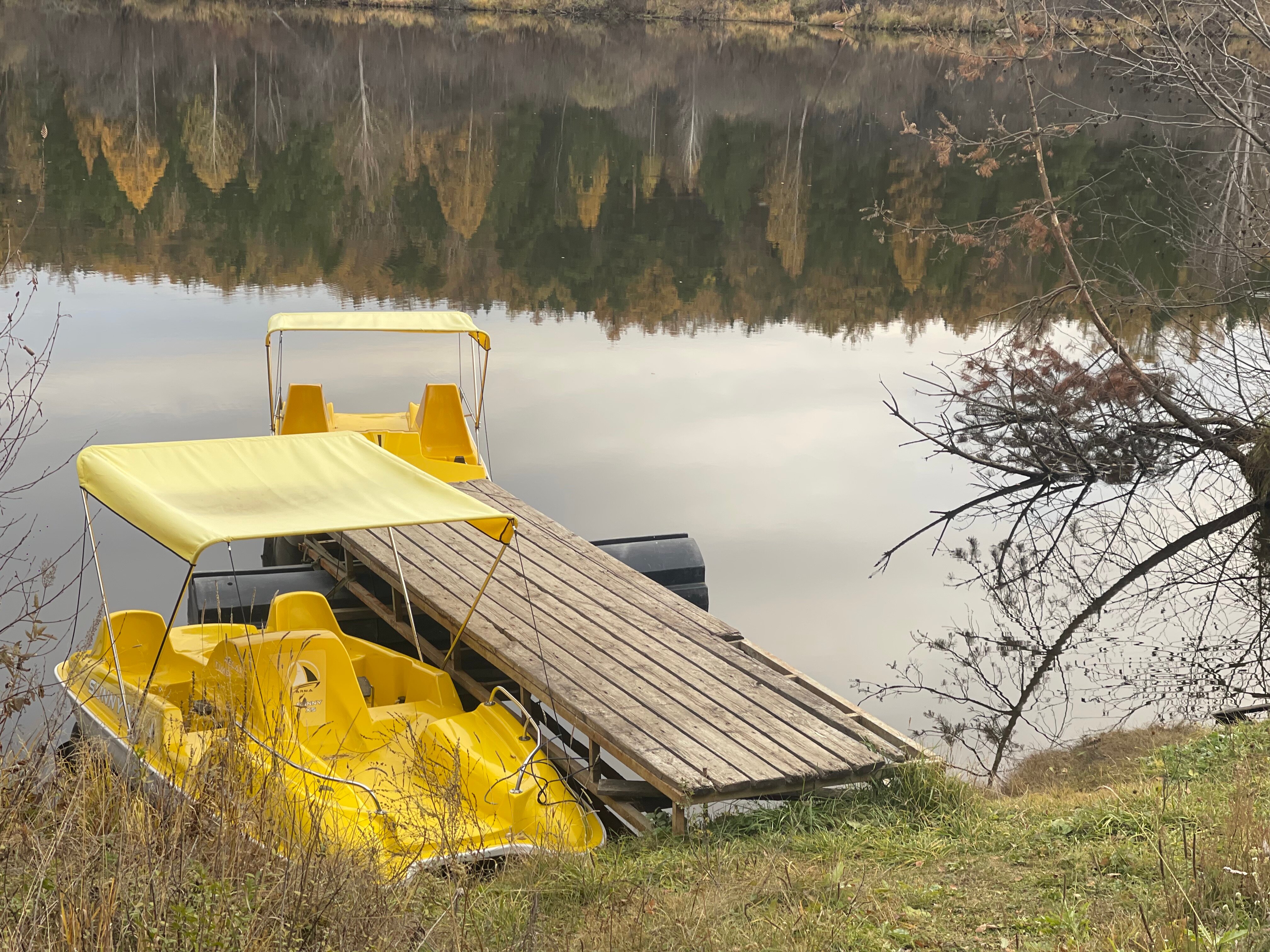 Фото ЛяКатю