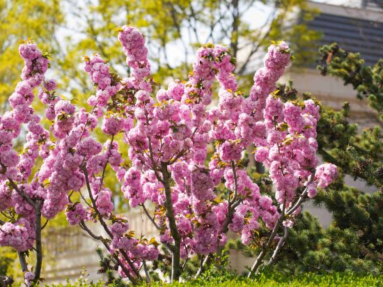 Фото 49132333548