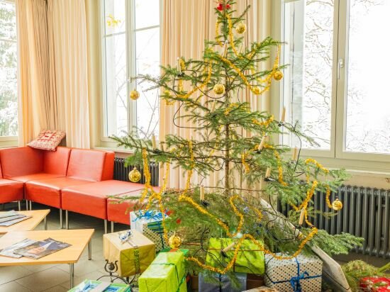 Фото Youth Hostel Grindelwald