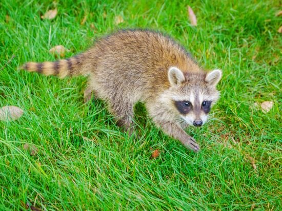 Фото Grand New Century Hotel Xuzhou