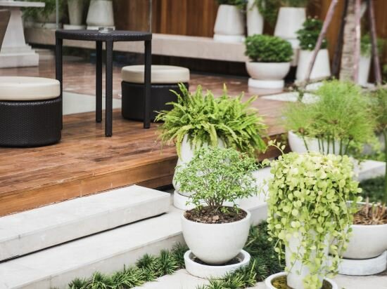 Фото TwoThree A Homely Hotel