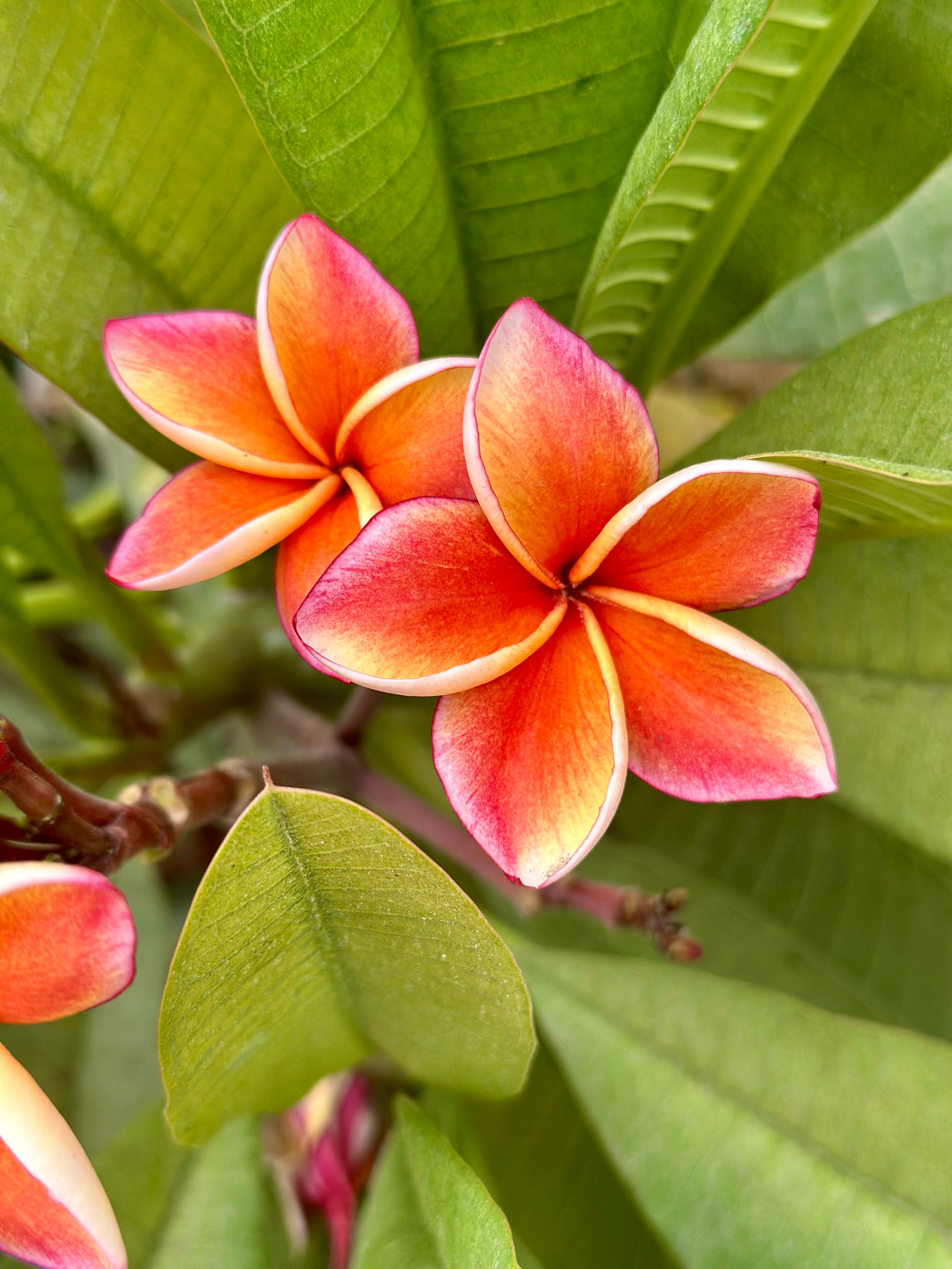 Фото Atlantis Condo Resort Pattaya by Alex