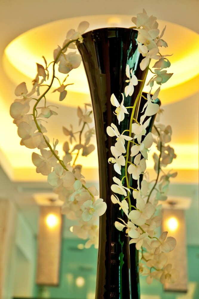 Фото Turim Alameda Hotel