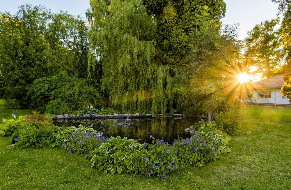 Фото Starby SPA, Hotell & Konferens