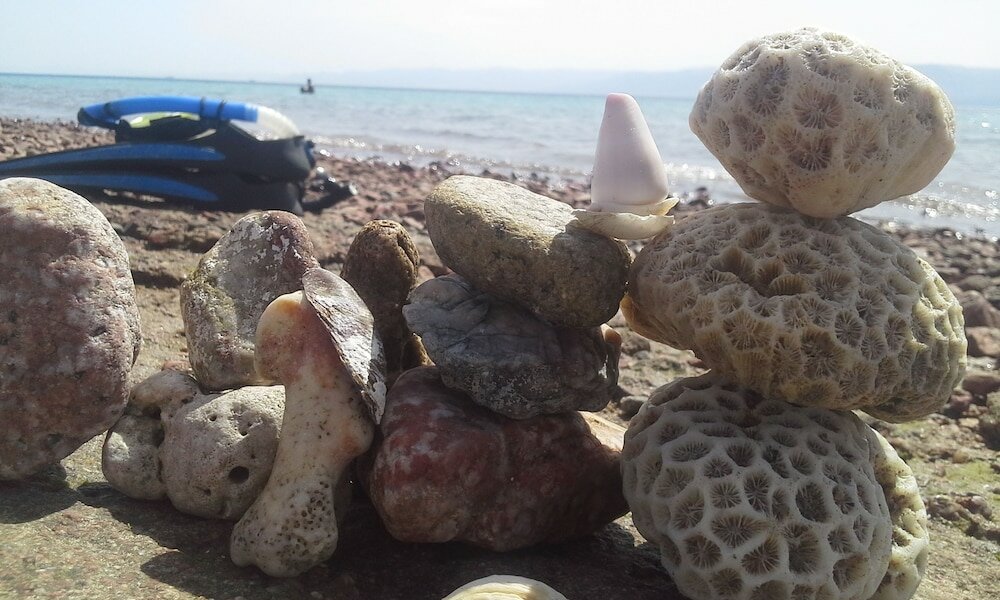 Фото Southern Star Club