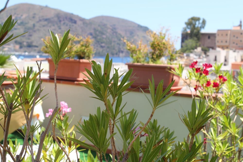 Фото La Filadelfia