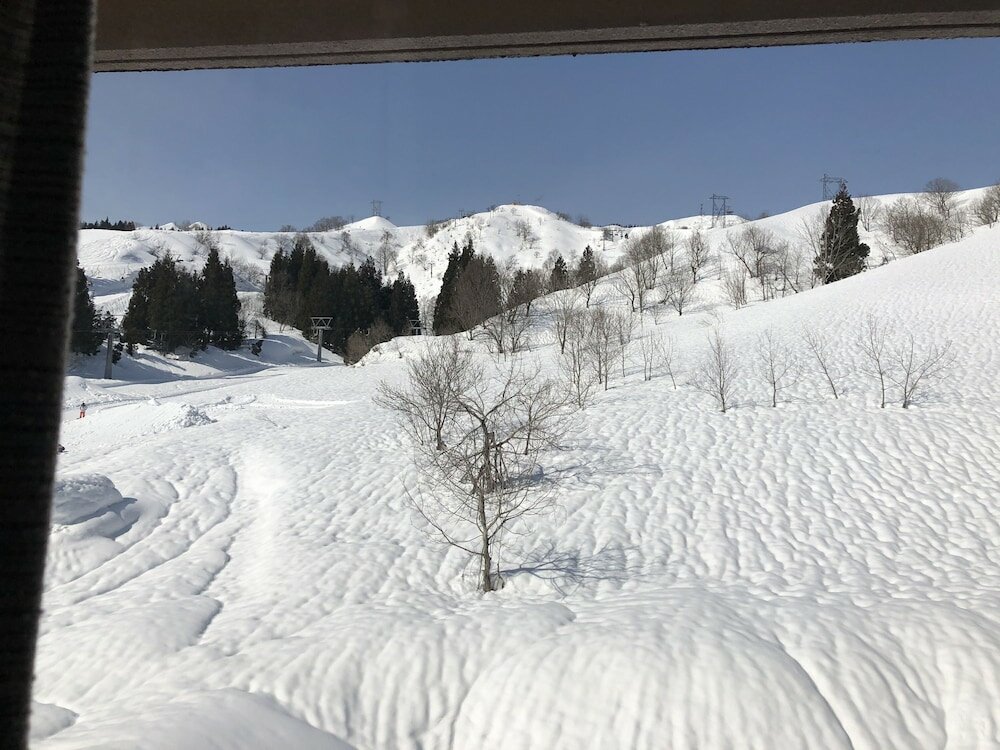 Фото Muica Onsen Hotel