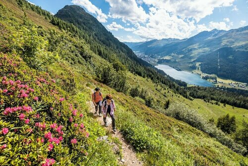 Внешний вид отеля Alpine Inn Davos в Давосе, фото 3