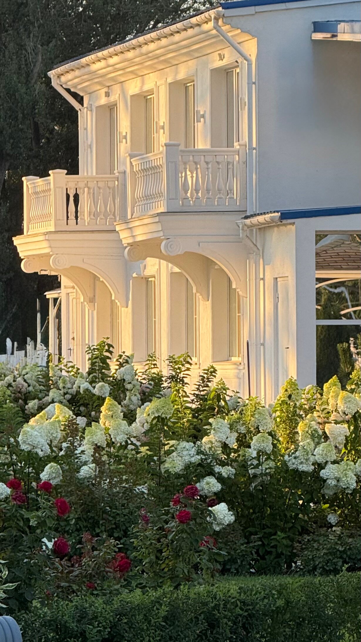 Фото Жемчужина