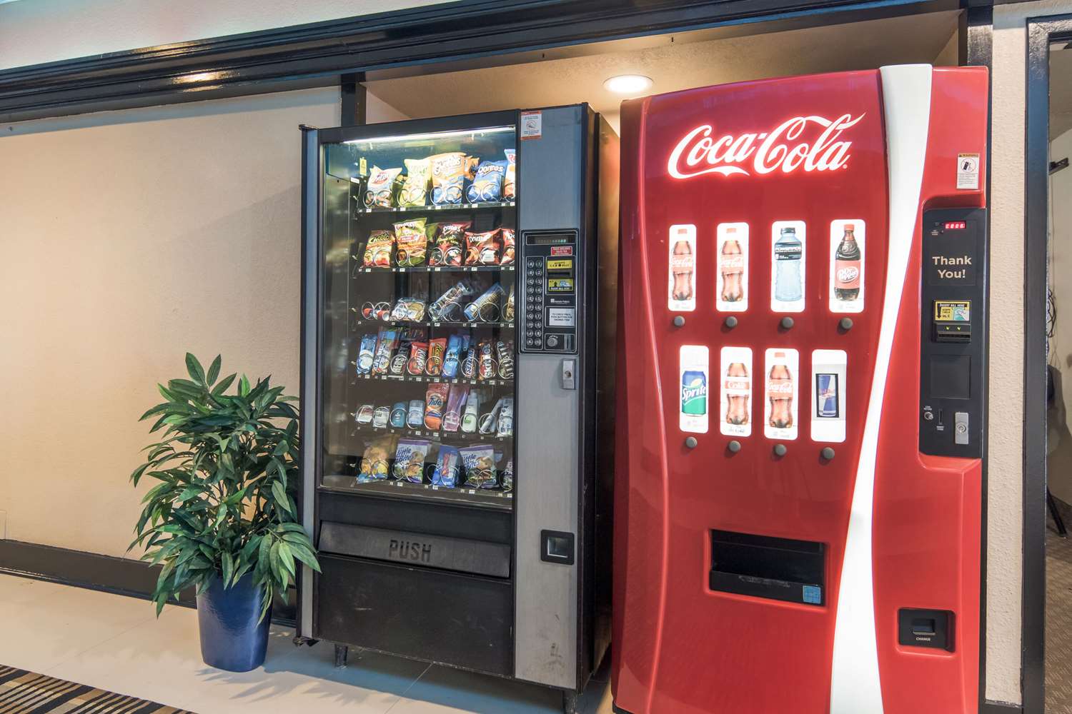 Фото Rodeway Inn