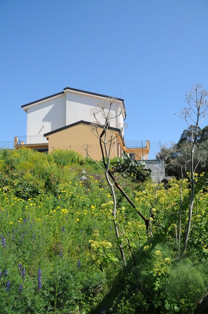 Фото La Circumetnea B&b