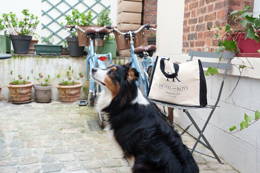 Фото Hotel des Roys Versailles