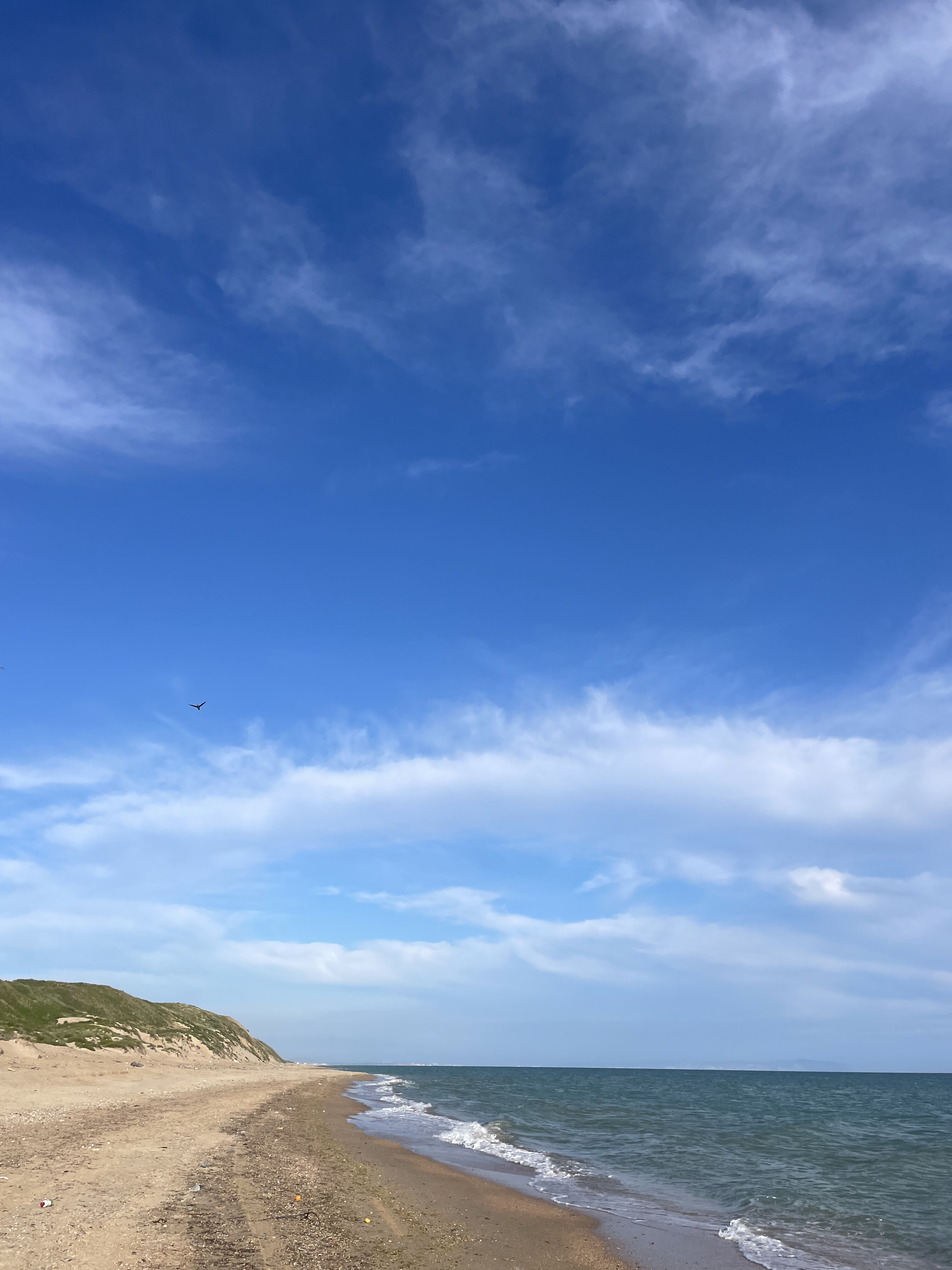 Фото Твоя Дача