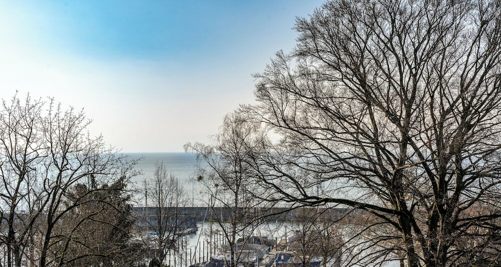 Фото Plaza Hotel Buchhorner Hof