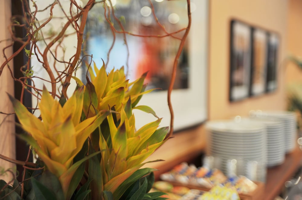 Фото Hotel Servatius Köln