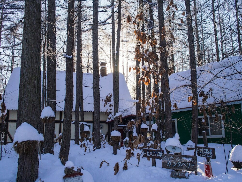 Фото The squirrel's guesthouse Canterbury