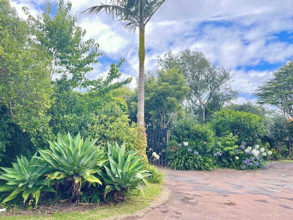 Фото Mt Eden Motel