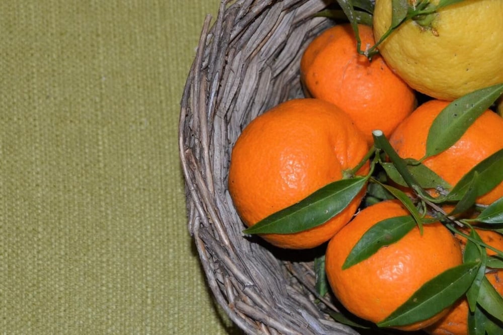 Фото B&b Le Macine 1868