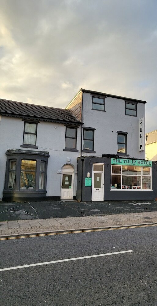 Фото Tulip Hotel