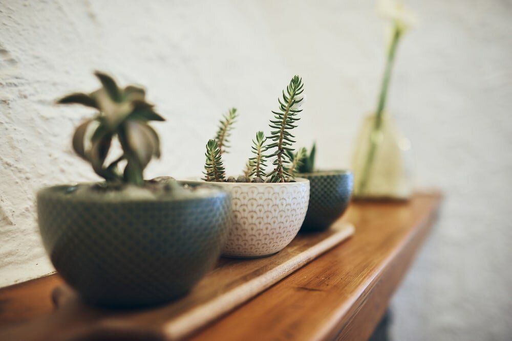 Фото Il Magàn - Cinque Terre