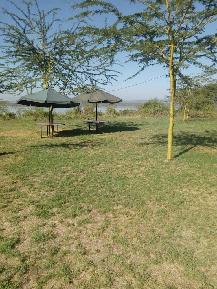 Фото Duara Flamingo Camp