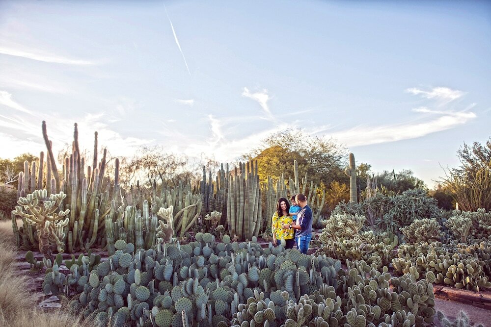 Фото Holiday Inn Express & Suites Phoenix - Airport North, an Ihg Hotel
