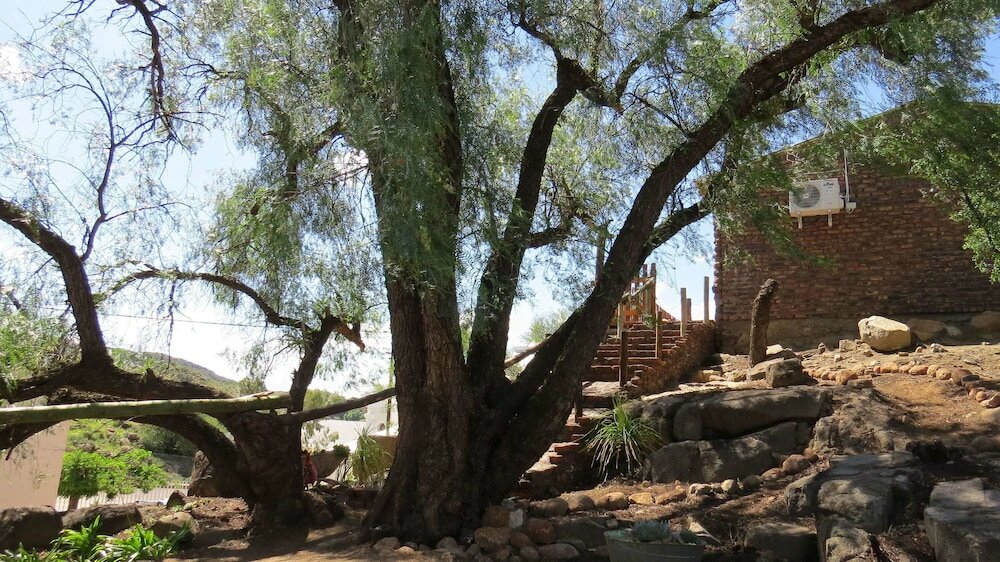 Фото Karoo-Koppie Guesthouse