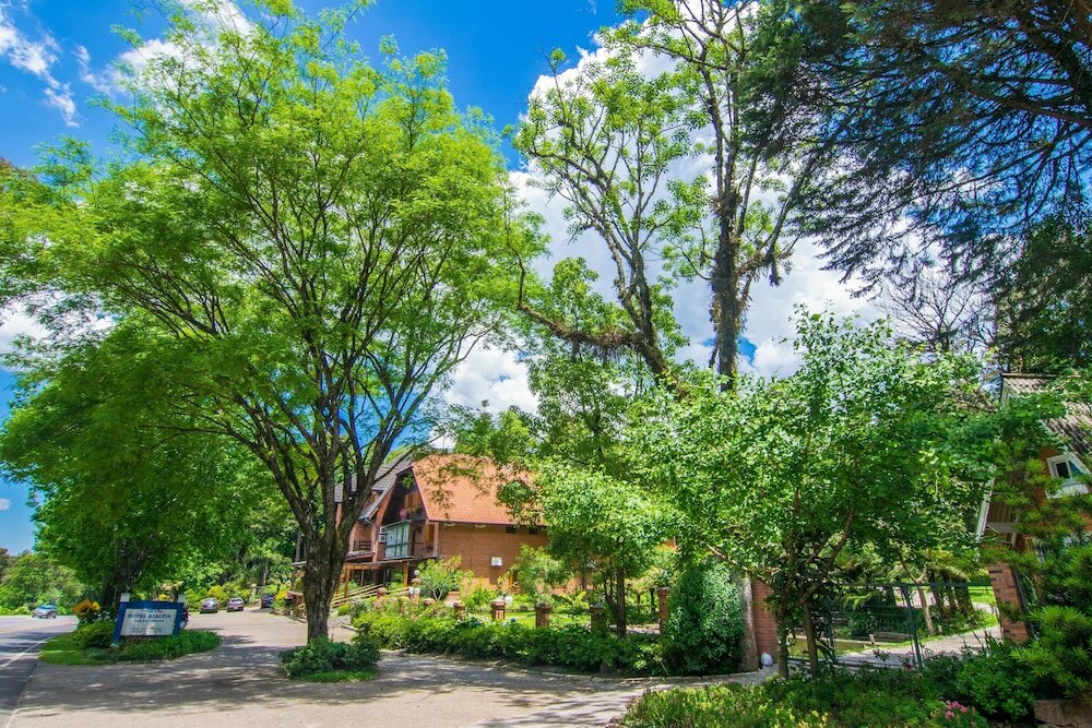 Фото Hotel Azaleia