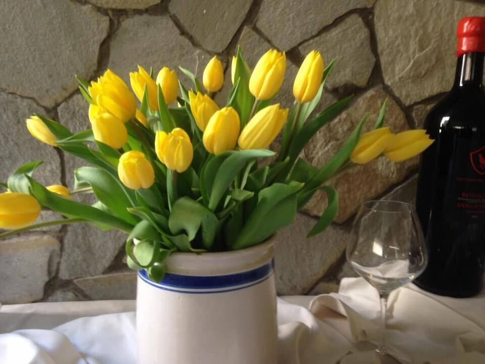 Фото Hotel Airone