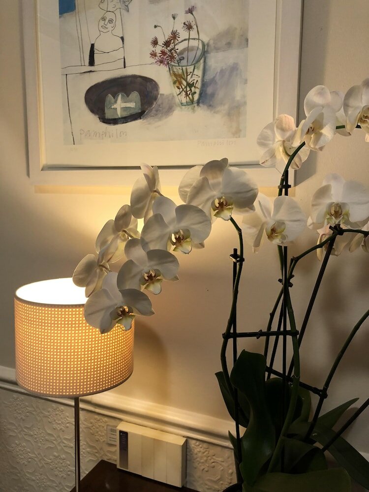 Фото Sheridan Guest House