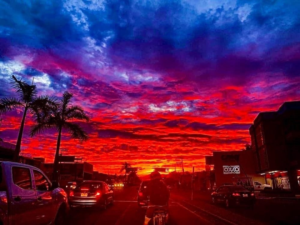 Фото Bungalows Princess