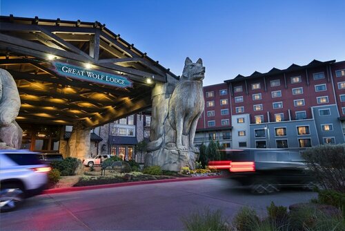 Гостиница Great Wolf Lodge Grapevine в Грейпвайне