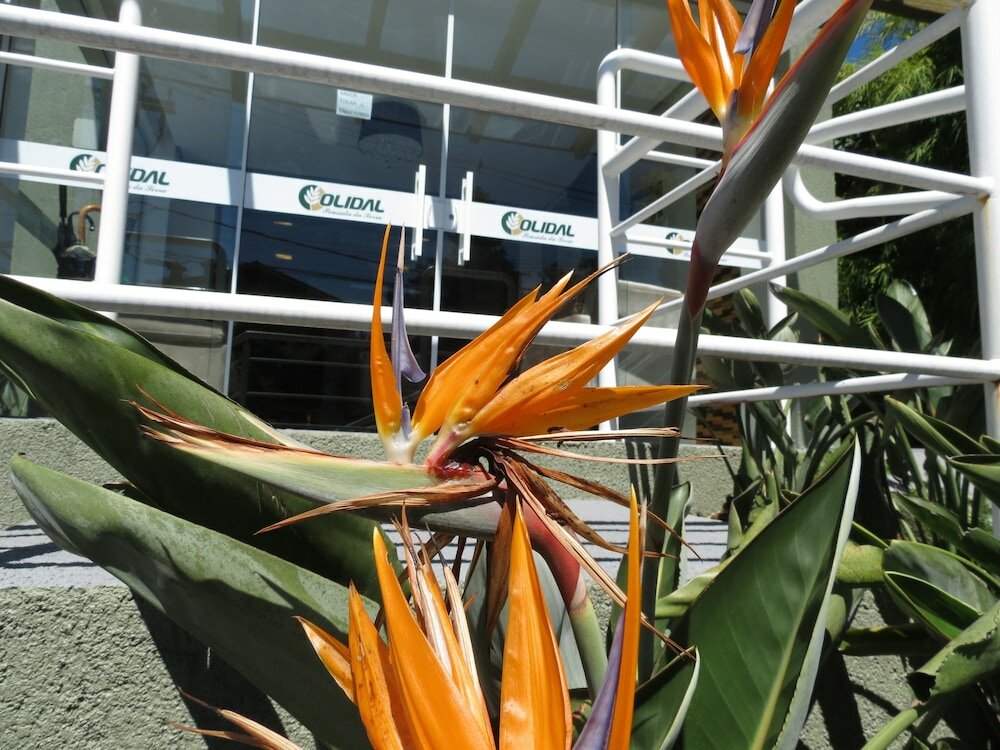 Фото Olidal Pousada da Serra