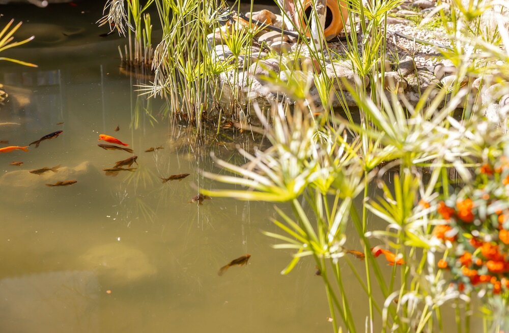 Фото Cetmihan Hotel