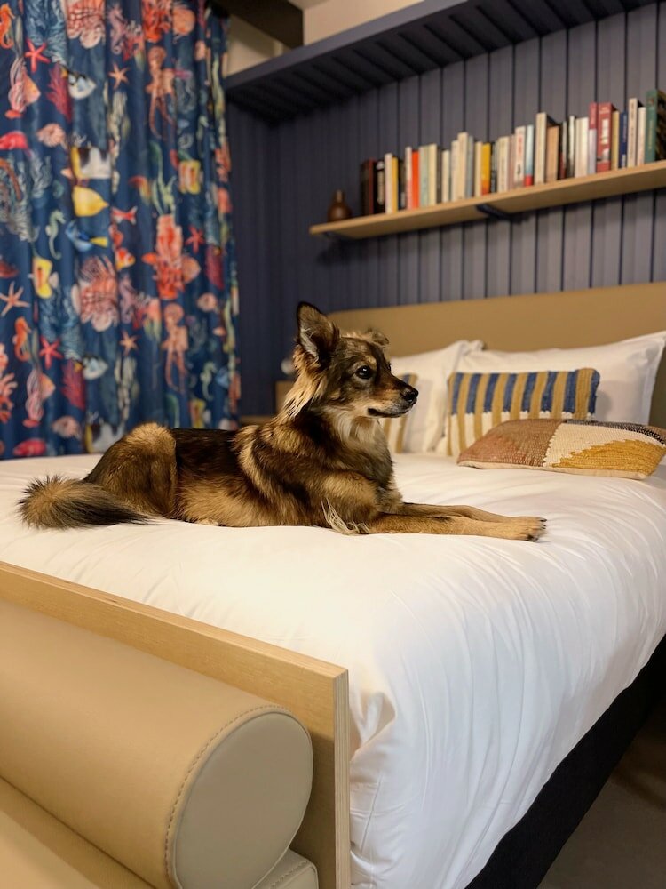 Фото Отель Jost Hotel Le Havre Gare