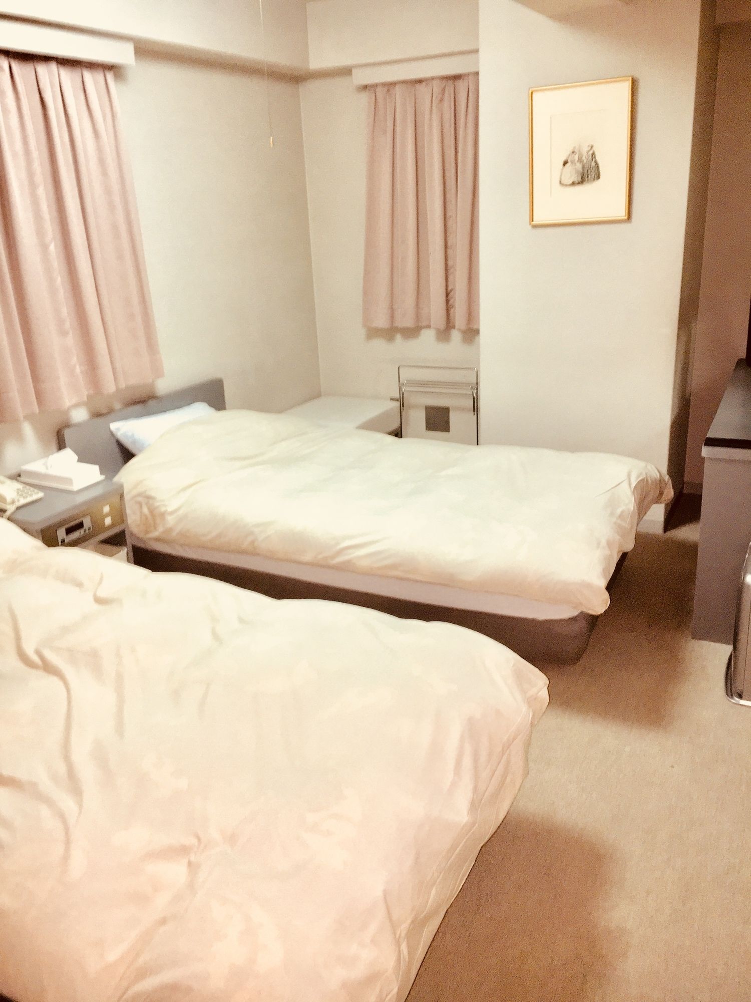 Фото Hotel Alphastar iwappara