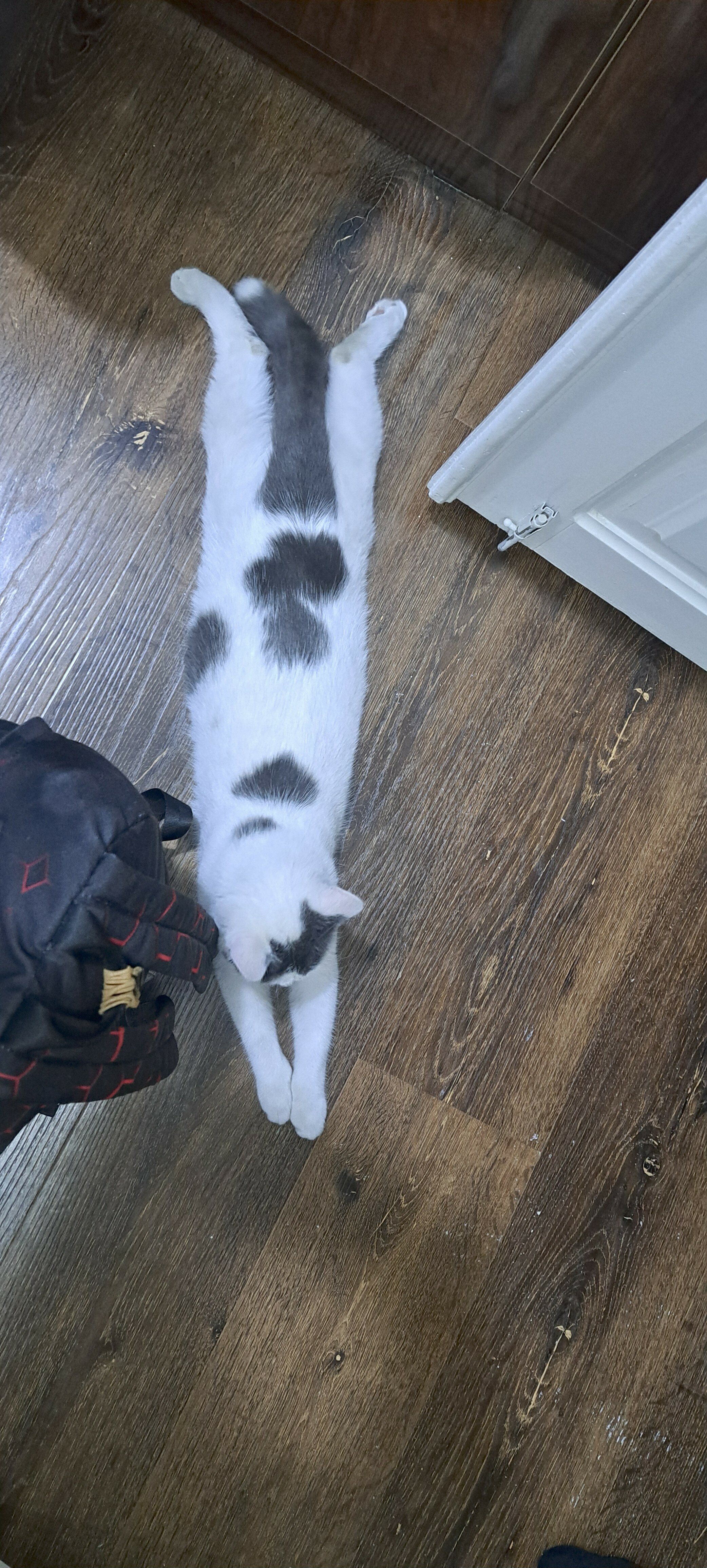 Фото Чехран