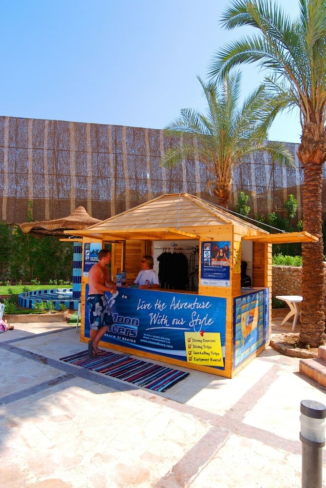 Фото Falcon Naama Star