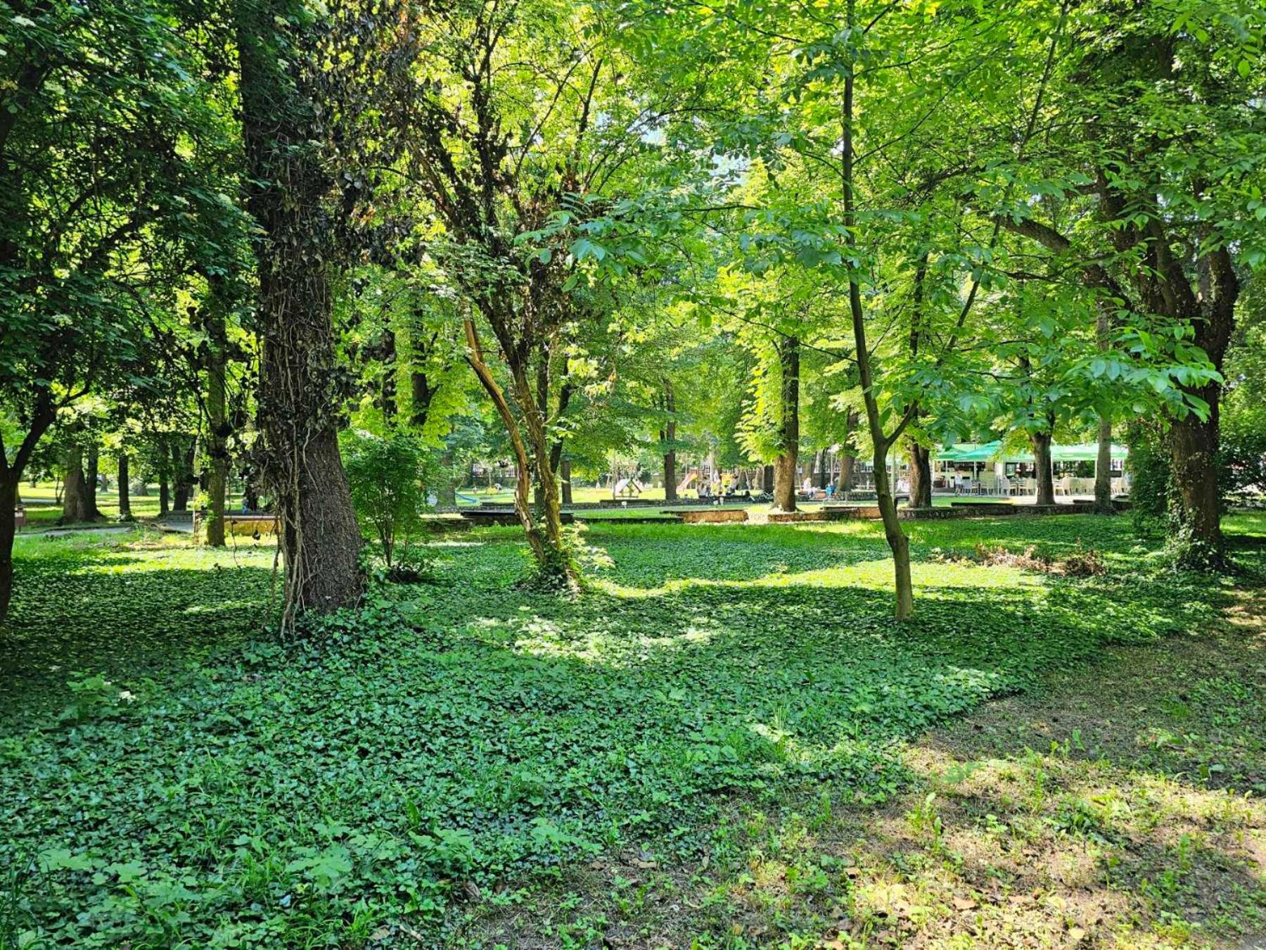 Фото Парк отель Гардения