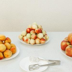 Фото Амфора Анапа